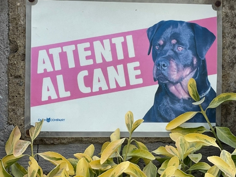 Attenti al Cane Attenti al Cane